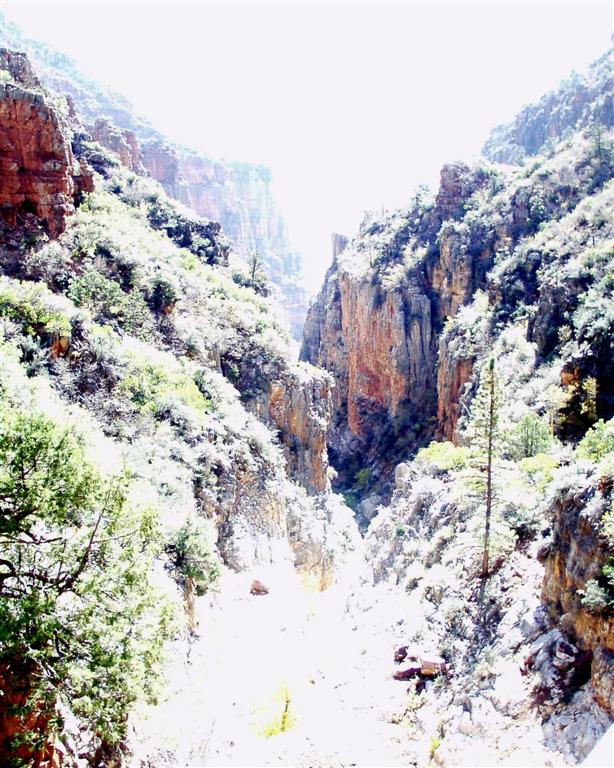 kaibab